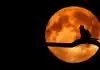 Que faut-il savoir sur le symbole de la lune qu'on ne vous dit pas ?