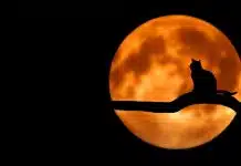 Que faut-il savoir sur le symbole de la lune qu'on ne vous dit pas ?